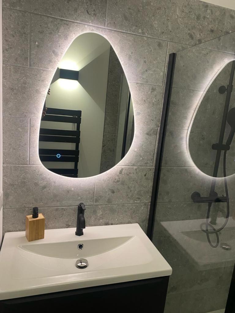 Le Solferino Toulouse Centreアパートメント エクステリア 写真